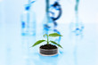 Experimenting with flora in laboratory.