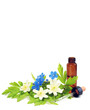 Photo: Homöopathische Tropfen Homöopathische Tropfen