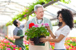 Woman shopping in a greenhouse