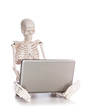 Skeleton working on laptop