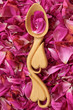 Photo: Rose Petals Rose Petals