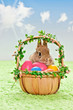 easter bunny with basket and eggs