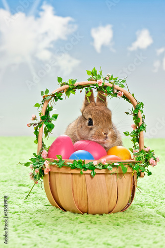 Photo: easter bunny with basket and eggs easter bunny with basket and eggs