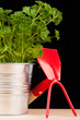 gardening time tools isolated on black