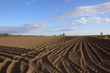Photo: agricultural patterns agricultural patterns