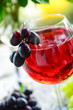 Rote Weinschorle - Sommergenuss