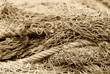 fishing net