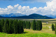 altopiano di asiago localita' marcesina 1041