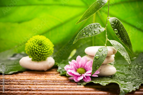 Photo: Spa treatment. Spa treatment.