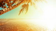 Peaceful tropical beach at dusk
