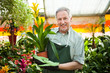 Gardener holding a plant