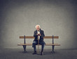 senior on the bench