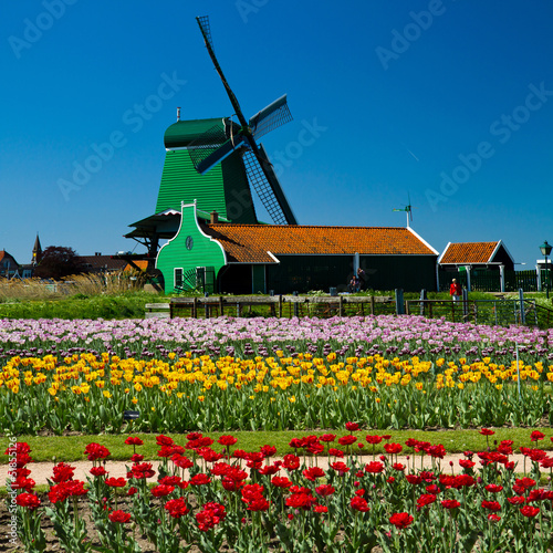 Photo: windmill in holland windmill in holland