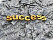 succes sign on money