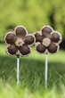 Chocolate cake pops in flower shape, lavishly decorated with spr