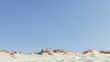 Video: Group Of Friends Running Down Sand Dune Together Group Of Friends Running Down Sand Dune Together