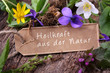 Foto: Blühende Heilkräuter - Heilkraft aus der Natur Blühende Heilkräuter - Heilkraft aus der Natur