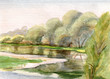 Willows at the river