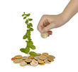 Photo: Investing to green business Investing to green business