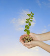 Investing to green business