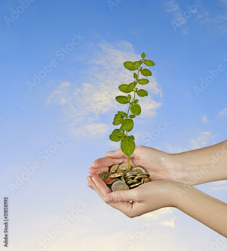 Photo: Investing to green business Investing to green business