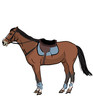 sport horse with saddle