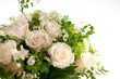 primavera in fiore