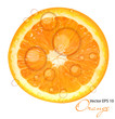 Fresh juicy orange background vector illustration