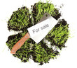 Green grass with ground as concept of land sale isolated