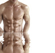 Photo: Muscle body Muscle body