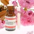 Foto: Globuliflasche mit Kirschblüten Globuliflasche mit Kirschblüten