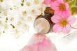 Foto: Globuli mit Blumenblüten Globuli mit Blumenblüten