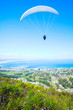 Paraglider