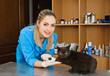 veterinary woman