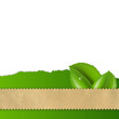 Green Leaf With Green Fragmentary Paper