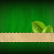 Grunge Green Paper Background With Leaves