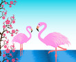 Two flamingos in the pond, postcard, invitation