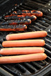 Cooked and Raw Hotdogs on a Picnic Grill