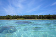 Caribbean island with clear water
