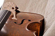 Fragment of a cello isolated on beige background