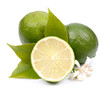 Fresh limes on white ground
