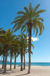 Foto: Mediterranean beach Mediterranean beach