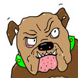bulldogge,dogge,pitbull