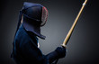 Profile of kendo fighter with bokuto