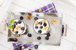 joghurt desserts mit heidelbeeren von oben