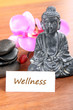 Wellness
