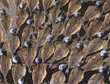 Drying stockfish