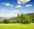 Photo: Spring landscape in the national park Sumava - Czech Republic Spring landscape in the national park Sumava - Czech Republic