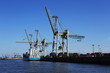 Hamburg, Containerhafen 10