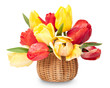 bouquet of colorful tulips  in a basket